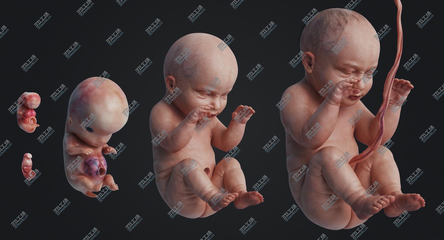 images/goods_img/20210115/Realistic Female Arm 3D model/5.jpg